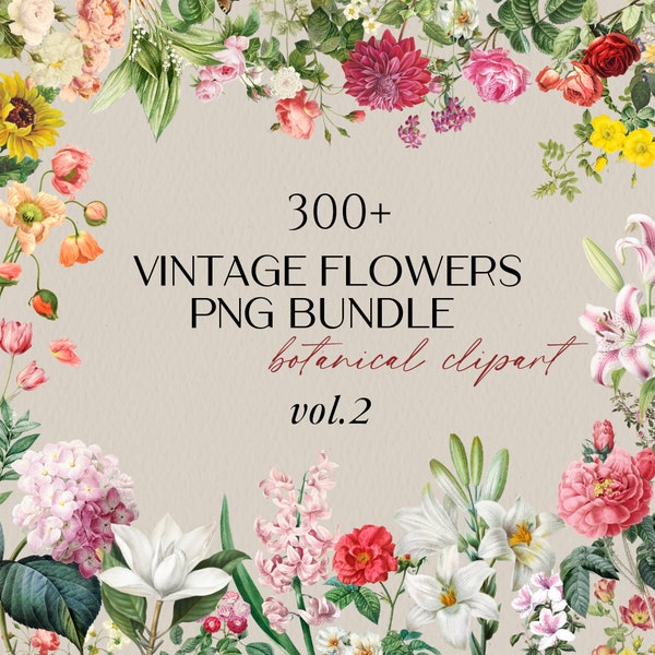 300+ Botanical Clipart Bundle Vintage Flower Illustrations Floral Elements | Digital Download PNG Commercial Use, Digital Stickers for Print