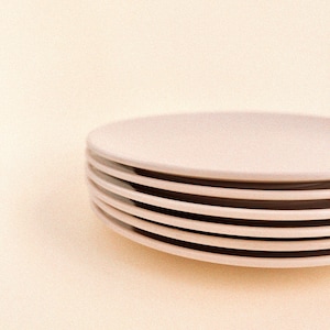 Vintage Dorchester by Cyanamid Melamine Side Plates