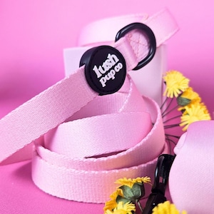 Può includere: Un collare rosa per cani con fibbia nera ed etichetta circolare nera con la scritta "lush pup co" in bianco. Il collare è arrotolato e appoggiato su una superficie rosa, con fiori gialli sullo sfondo.
