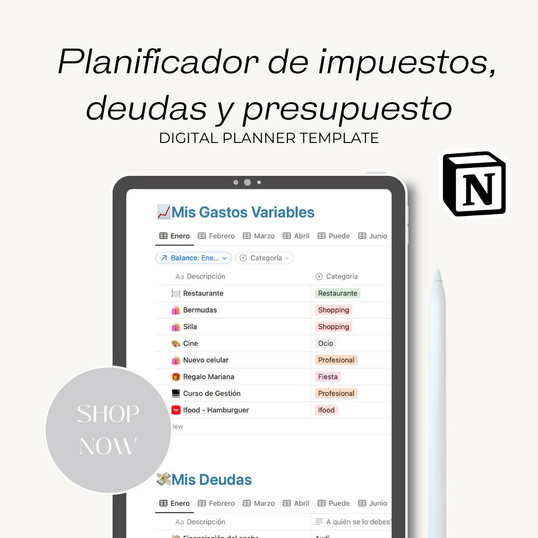 2024 Plantilla De Notion, Tracker Financiero, Notion Template, Budget ...