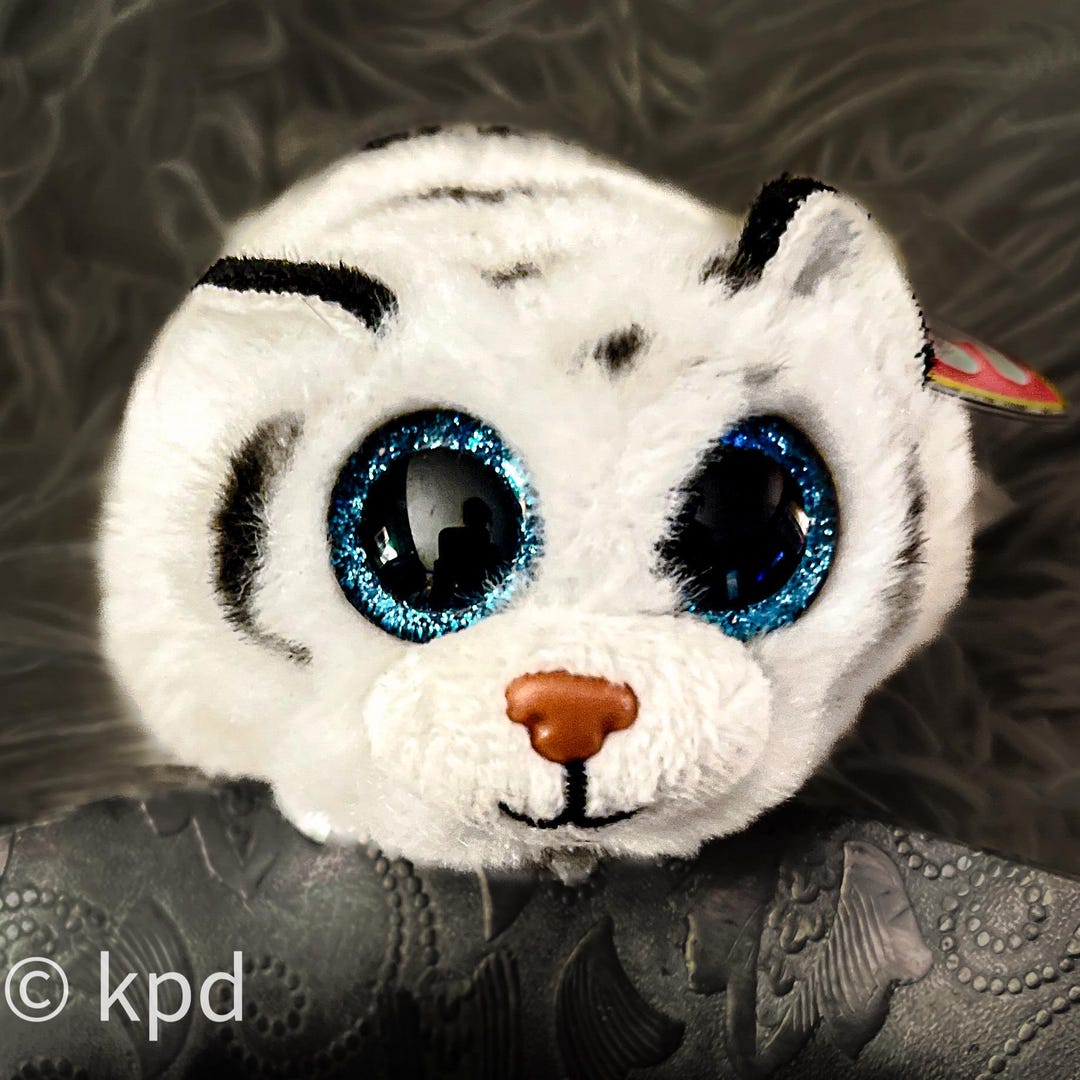 TY Beanie Teeny Tys ZACK White Tiger Plush - Stackable 4