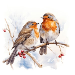 10 Clipart de Robin sur la branche enneigée, téléchargement numérique, aquarelle imprimable, créations en papier, haute résolution, JPG de haute qualité, journal indésirable
