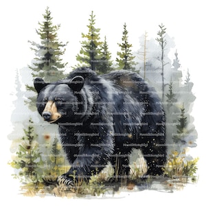 12 Clipart di orsi neri nella foresta, download digitale, acquerello stampabile, lavoretti di carta, fauna selvatica, boschi, natura, JPG di qualità, diario spazzatura