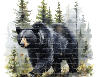 12 Black Bear in Forest Clipart, Digital Download, Printable Watercolor, Paper Crafts, Wildlife, Woods, Nature, Quality JPG, Junk Journal