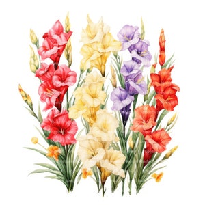 10 Gladiolus Flowers Clipart, Digital Download, Printable Watercolor Clipart, Paper Crafts, Gladiolus Bouquet, Quality JPG, Junk Journal