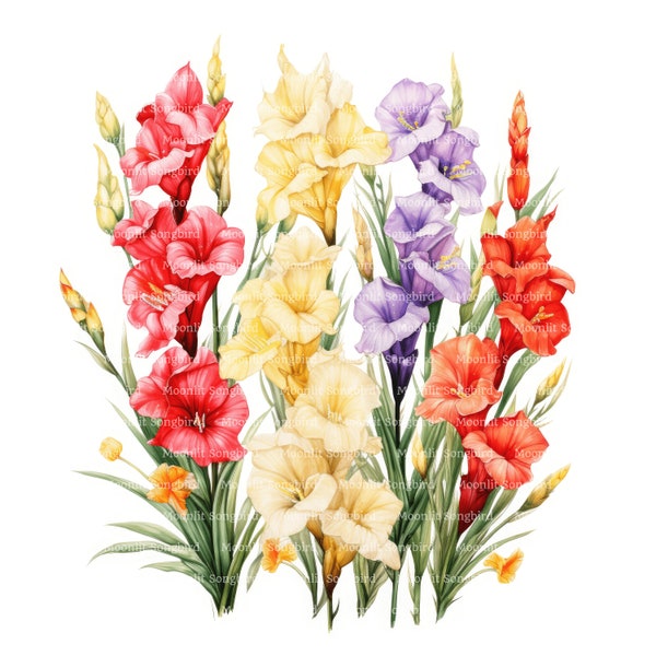 10 Gladiolus Flowers Clipart, Digital Download, Printable Watercolor Clipart, Paper Crafts, Gladiolus Bouquet, Quality JPG, Junk Journal