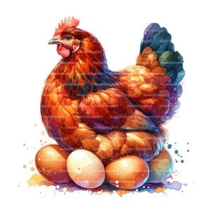 10 imágenes prediseñadas de gallina sentada sobre huevos, descarga digital, imágenes prediseñadas de acuarela imprimibles, manualidades de papel, pollo, huevo, JPG de alta calidad, diario basura