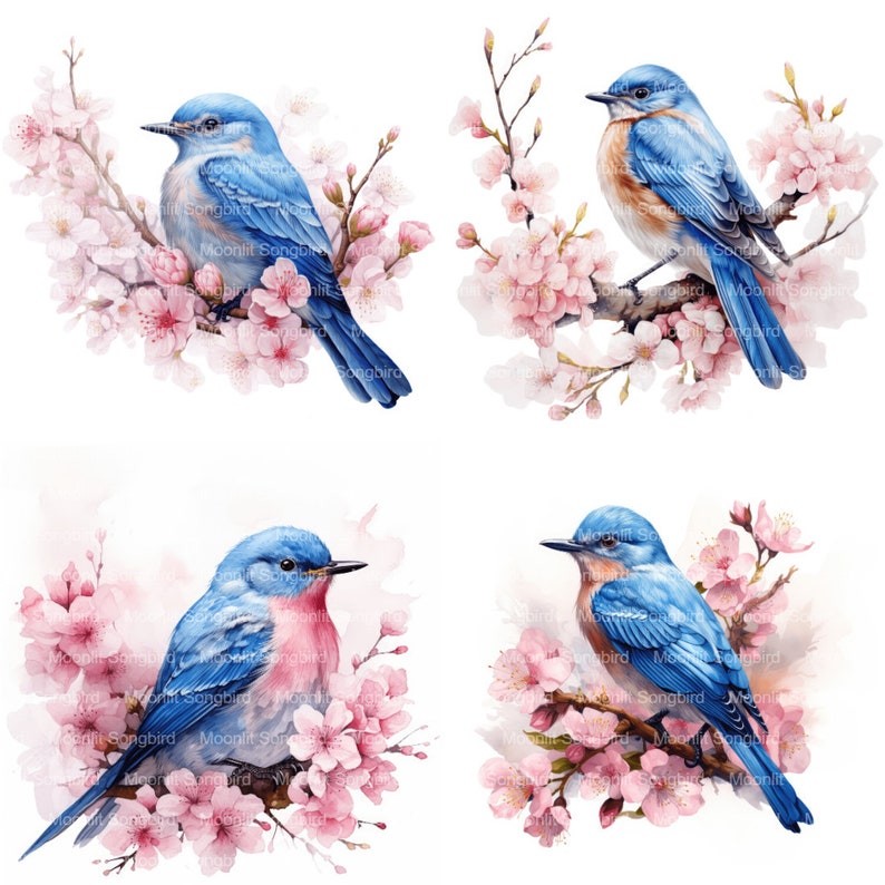 May include: Four bluebirds perched on branches of pink cherry blossoms. The birds are painted in a realistic style with detailed feathers and bright colors. The blossoms are delicate and soft, creating a beautiful contrast with the birds.