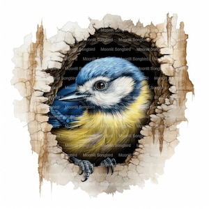 Mésange bleue dans un arbre des cliparts, téléchargement numérique, aquarelle imprimable, travaux manuels en papier, haute résolution, haute qualité JPG, journal indésirable