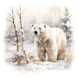 12 Eisbär in Wald Clipart, digitaler Download, druckbare Aquarell, Papier Handwerk, hohe Auflösung, hochwertige JPG, Junk Journal