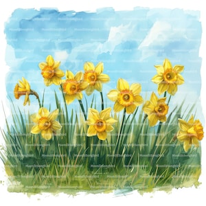 10 påskliljor i fält Clipart, digital nedladdning, utskrivbar akvarell Clipart, papperspyssel, vår, blommor, högkvalitativ JPG, skräpjournal