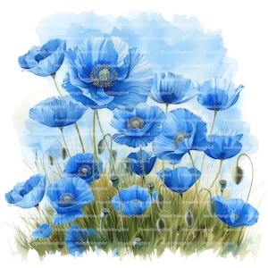 9 Blue Poppy Fields Clipart, Download digital, Aquarela para impressão, Flores, Artesanato em papel, Papoilas azuis, JPG de alta qualidade, Diário de lixo