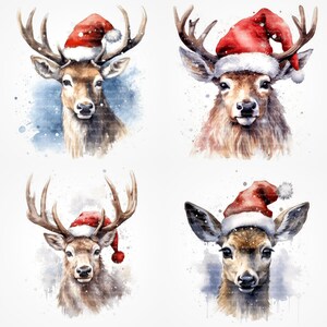 12 Deer With Santa Hat Clipart, Digital Download, Printable Watercolor ...