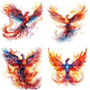 May include: Four digital paintings of phoenixes with red, orange, yellow, blue, and purple flames. The phoenixes are in flight with their wings spread wide.