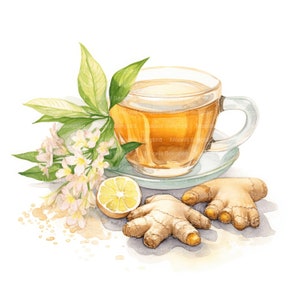 10 Ginger Tea Clipart, Digital Download, Printable Watercolor Tea Clipart, Tea Paper Crafts, High resolution, High Quality JPG, Junk Journal