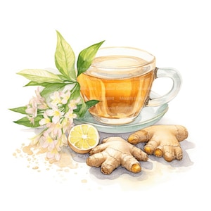 10 Ginger Tea Clipart, Download digital, Clipart de chá aquarela para impressão, Artesanato em papel para chá, Alta resolução, JPG de alta qualidade, Diário de lixo