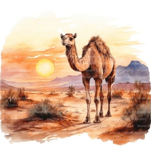 10 Cammello nel deserto al tramonto Clipart, download digitale, acquerello stampabile, lavoretti di carta, alta risoluzione, JPG di alta qualità, Junk Journal