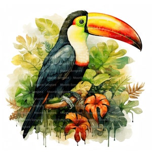 10 Toucan in Rainforest, Digital Download, Printable Bird Watercolor Clipart, Paper Crafts, High Resolution, High Quality JPG, Junk Journal