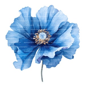 10 fleurs de pavot bleu Clipart, téléchargement numérique, clipart aquarelle imprimable, créations en papier, coquelicots bleus, JPG haute qualité, journal indésirable