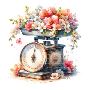 10 cliparts floral balance de cuisine, téléchargement numérique, clipart aquarelle imprimable, travaux manuels en papier, JPG vintage, mignon, haute qualité, journal indésirable