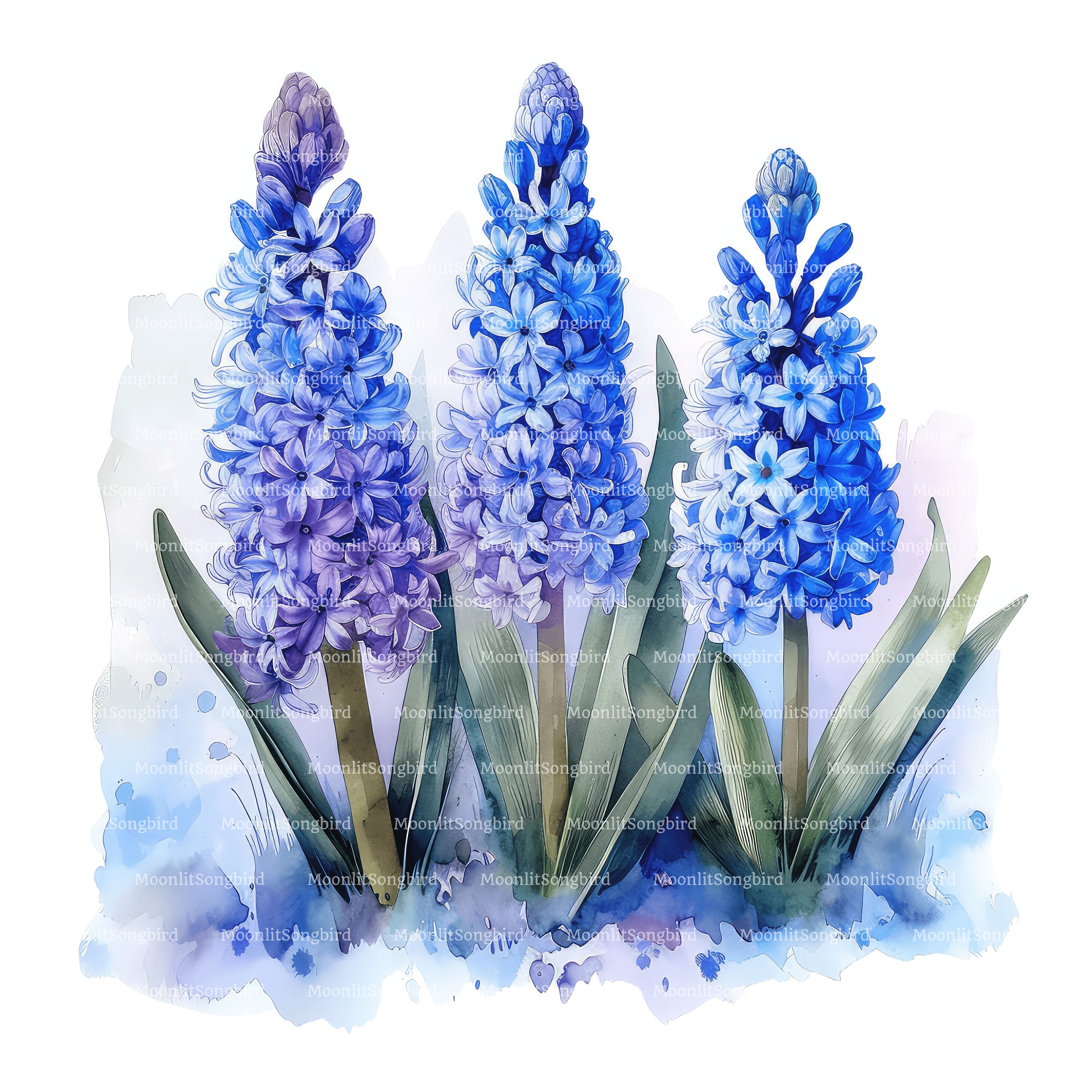 ブドウヒヤシンスの水彩画クリップアート、青い花（デジタル