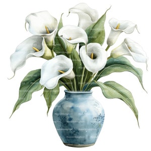 16 lys calla dans un vase des cliparts, téléchargement numérique, clipart aquarelle imprimable, créations en papier, fleurs blanches, JPG de haute qualité, journal indésirable