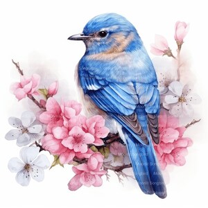 May include: A bluebird perched on a branch with pink and white blossoms. The bird has a blue body with a brown breast and a long, pointed beak. The flowers are in full bloom and have delicate petals.
