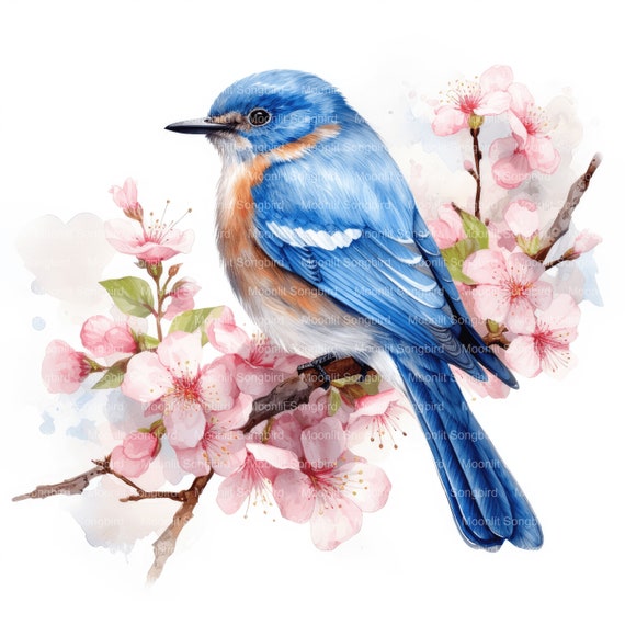 15 Bluebird on Cherry Blossom Branch Clipart, Digital Download, Printable Bird Watercolor, Paper Crafts, High Resolution JPG, Junk Journal