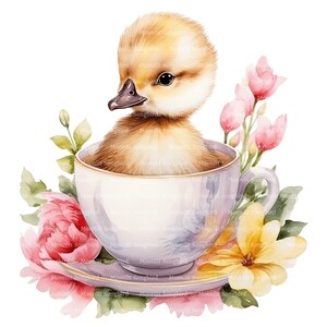 12 Anatroccolo in tazza da tè Clipart, Download digitale, Clipart acquerello stampabile, Lavoretti di carta, Alta risoluzione, JPG di alta qualità, Junk Journal