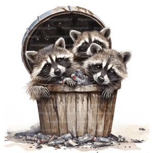 12 Waschbär Familie in Mülleimer Clipart, digitaler Download, druckbare Aquarell Clipart, Papiermodelle, Trash Panda, Qualität JPG, Junk Journal