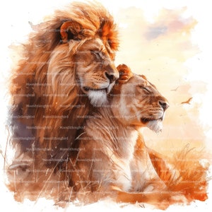 12 imágenes prediseñadas de pareja de leones enamorados, descarga digital, imagen de acuarela imprimible, manualidades de papel, romántico, rey, reina, JPG de calidad, diario basura