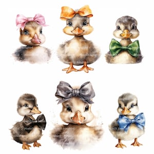 12 eleganti anatroccoli clipart, anatroccoli con papillon, download digitale, immagini acquerello stampabili, lavori di carta, JPG di alta qualità, diario spazzatura