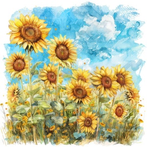 10 Clipart di campi di girasoli, download digitale, clipart acquerello stampabile, lavoretti di carta, campo di girasoli, JPG di alta qualità, diario spazzatura