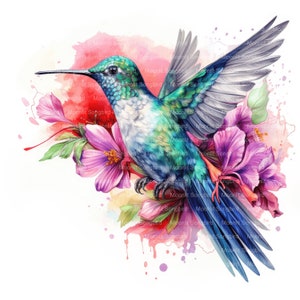 16 Clipart di colibrì e fiori, download digitale, acquerello stampabile, lavoretti di carta, alta risoluzione, JPG di alta qualità, Junk Journal