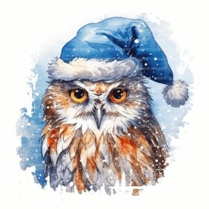 16 Christmas Owl Clipart, Digital Download, Printable Cute Watercolor Clipart, Paper Crafts, Wysoka rozdzielczość, Wysoka jakość JPG, Junk Journal