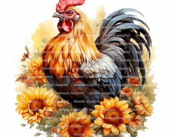 Hahn in Sonnenblumen Clipart, Aquarell Illustration (digitaler Download)