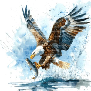 11 Aquila che cattura un pesce Clipart, download digitale, acquerello stampabile, lavoretti di carta, uccello, caccia, lago, JPG di alta qualità, diario spazzatura