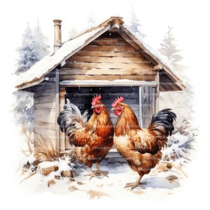 12 poulailler en hiver des cliparts, téléchargement numérique, clipart aquarelle imprimable, créations en papier, neige, froid, haute qualité JPG, journal indésirable