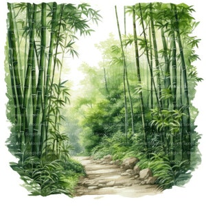 14 Clipart Foresta di Bambù, Download Digitale, Immagini Acquerello Verde Stampabili, Artigianato di Carta, Alta Risoluzione, JPG di Alta Qualità, Junk Journal