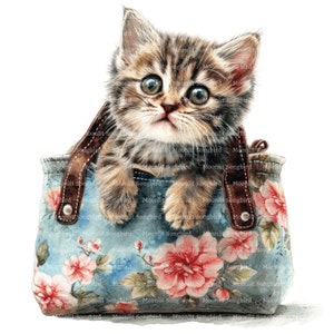 12 Katze in Handtasche Clipart, digitaler Download, druckbare Aquarell, Papier Handwerk, entzückende Kätzchen in Tasche, niedliche flauschige Katze, niedlichen Junk Journal