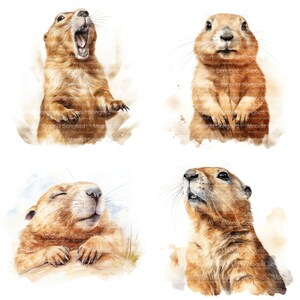 10 expressions des cliparts chien de prairie, téléchargement numérique, image aquarelle imprimable drôle mignonne, travaux manuels en papier, JPG de haute qualité, journal indésirable
