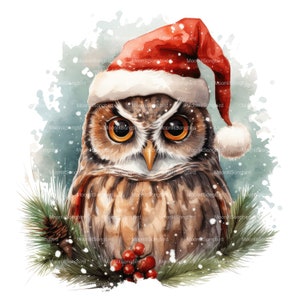 14 Winter Owl Clipart, Download digitale, Afdrukbare aquarel Clipart, XMAS Paper Crafts, Alta risoluzione, Alta qualità JPG, Junk Journal