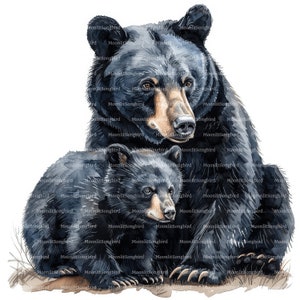 10 clipart de urso preto e filhote, download digital, clipart de aquarela para impressão, artesanato em papel, alta resolução, JPG de alta qualidade, diário de lixo