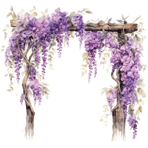 10 Arbor con Wisteria Clipart, Download digitale, Immagini acquerello stampabili, Lavori di carta, Alta risoluzione, JPG di alta qualità, Junk Journal