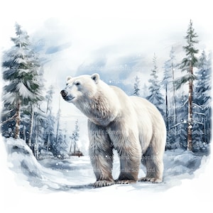 11 Eisbär in Wald Clipart, digitaler Download, druckbare Aquarell, Papier Handwerk, hohe Auflösung, hochwertige JPG, Junk Journal
