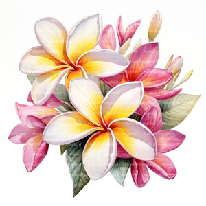 16 Clipart di fiori di Frangipani, Download digitale, Clipart acquerello stampabile, Mestieri di carta, Alta risoluzione, JPG di alta qualità, Diario spazzatura