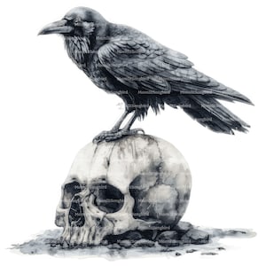 9 corbeau sur la tête de mort Clipart, téléchargement numérique, clipart aquarelle imprimable, oiseau noir, gothique, créations en papier, JPG de haute qualité, journal indésirable