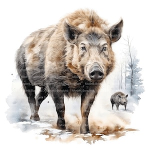 12 Cinghiale nella foresta invernale Clipart, download digitale, acquerello stampabile, lavoretti di carta, alta risoluzione, JPG di alta qualità, Junk Journal