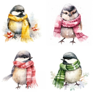 11 Clipart mésange avec écharpe, téléchargement numérique, image aquarelle imprimable, créations en papier, haute résolution, haute qualité JPG, journal indésirable
