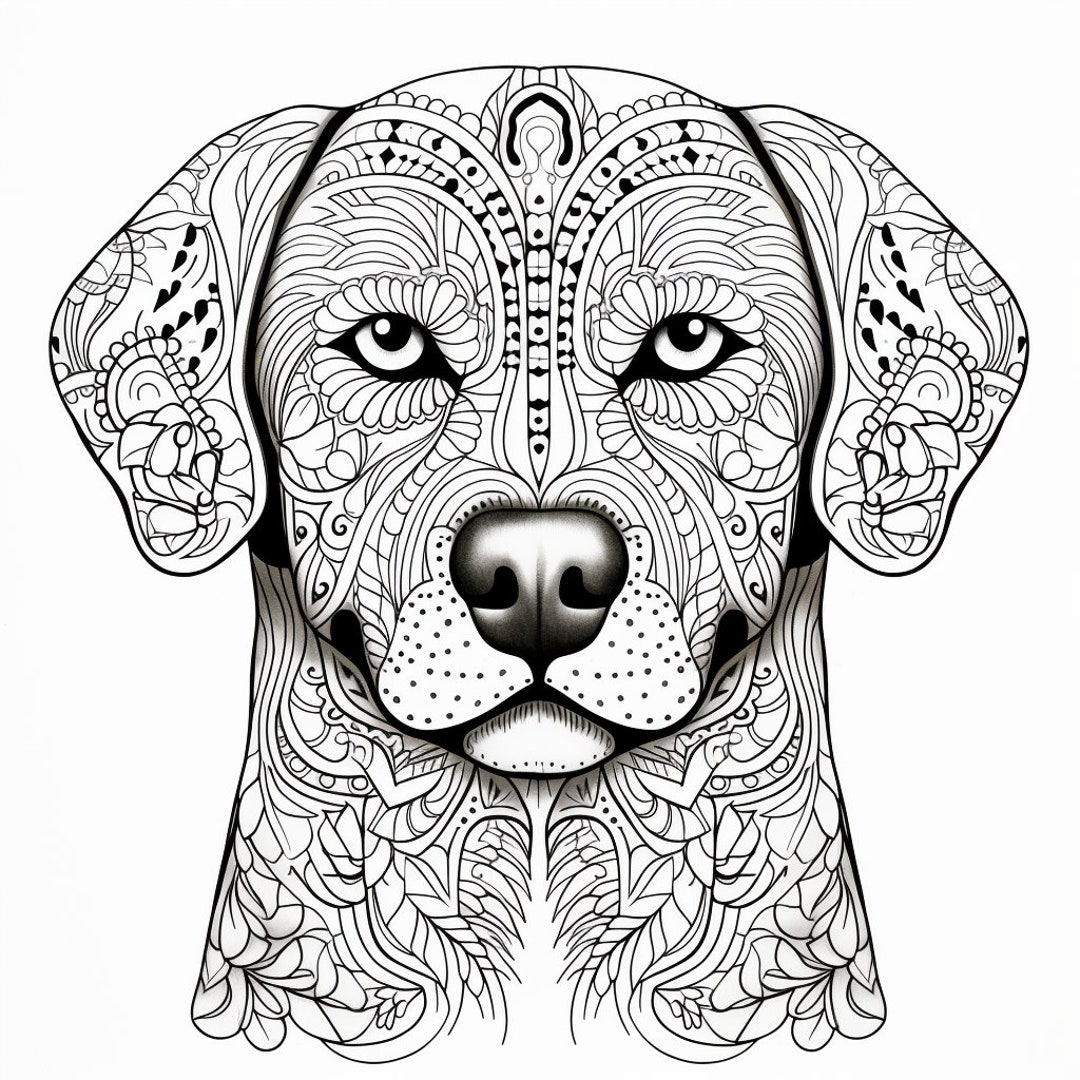 Labrador Coloring Pages - Etsy